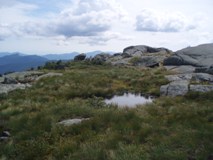 Scenic: Mike McLean - Algonquin Summit Scenic: Mike McLean - Algonquin Summit