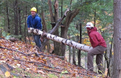 Transporting Logs Transporting Logs